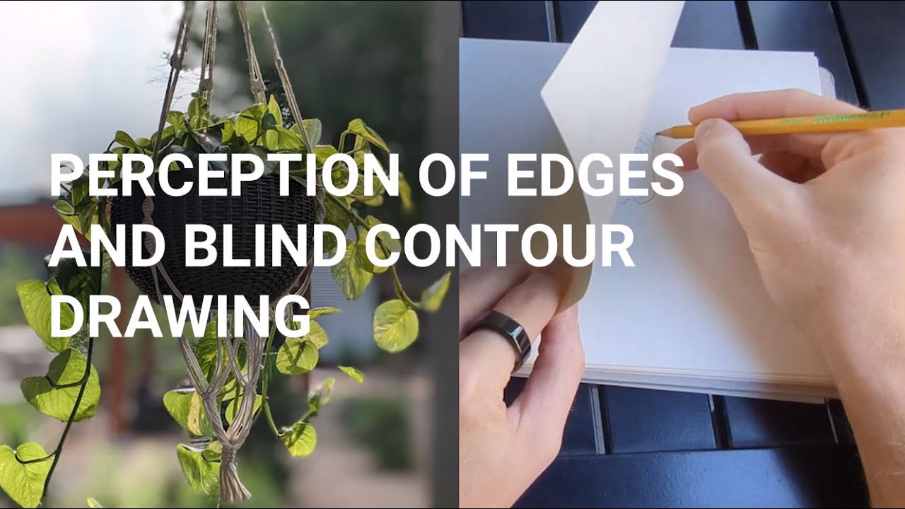 Perception of Edges and Blind Contour Drawing